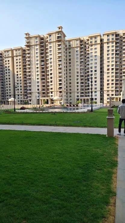 May be an image of skyscraper and grass